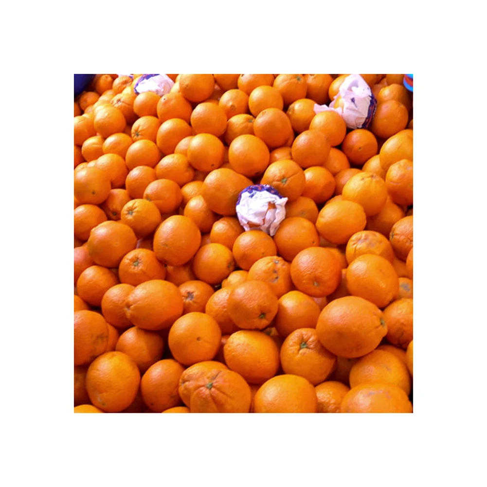 Fresh Mandarin Orange/egypt Oranges