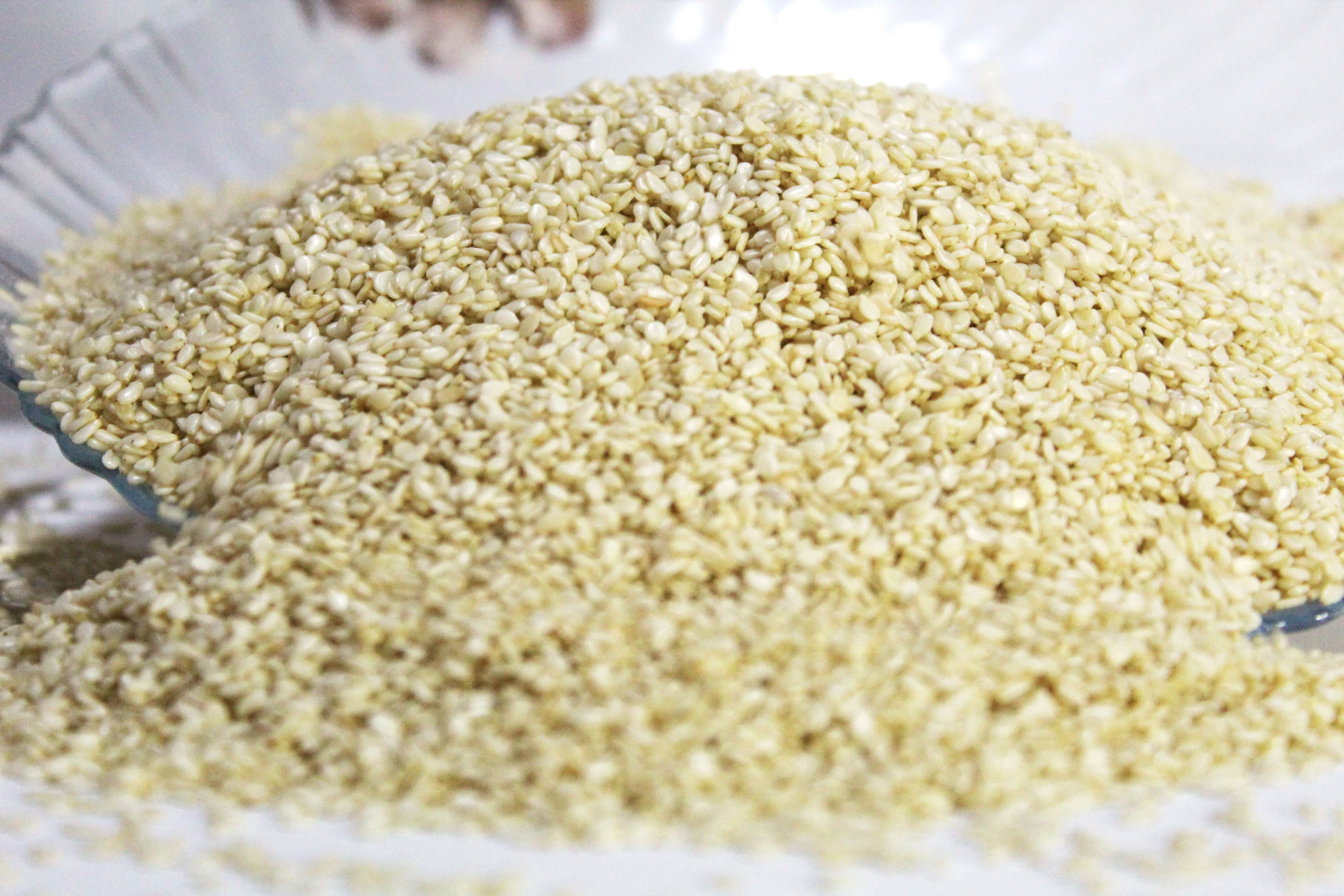 Natural Good Taste White Sesame Seeds Roasted High Content Of Vegetable Fiber Wholesale by Foodies (PVT.) Limited