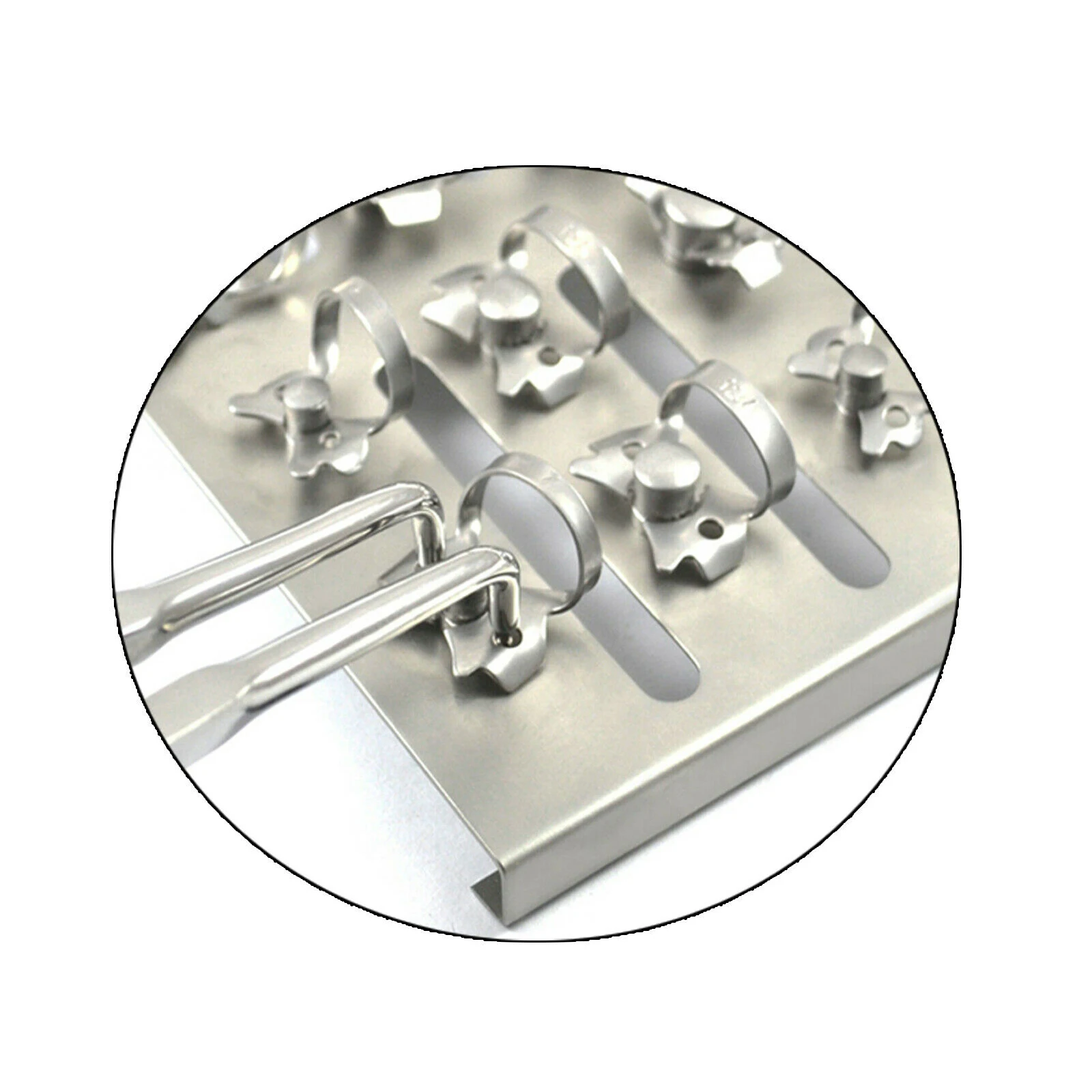 Rubber Dam Clamps Set Endodontic Rubber Dam Clamps Dental Instruments ENDO CLAMP Set with Plate 31 Pcs Surgical Instruments