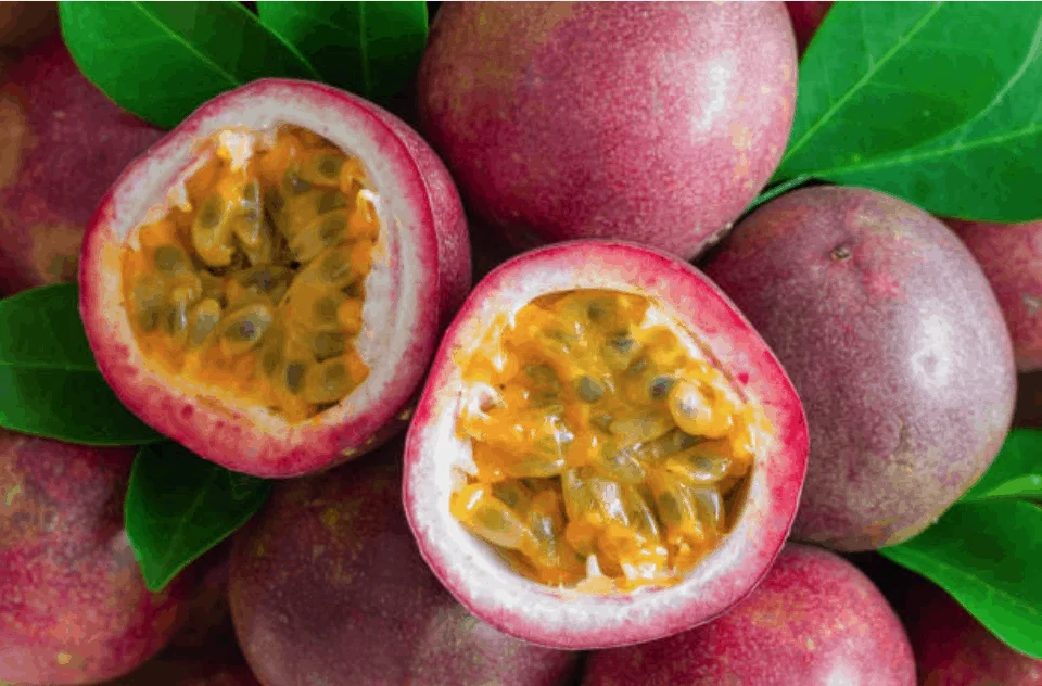 Wholesale Wonderland and Stock Up & Save Fresh Passion fruit tropical fruit from Viet Nam for importer (+84983028718)