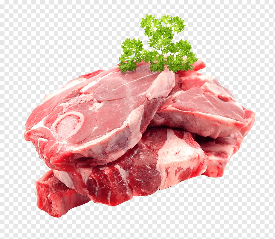 Hot Sale Donkey Butchering Equipment For Meat Abattoir Plant