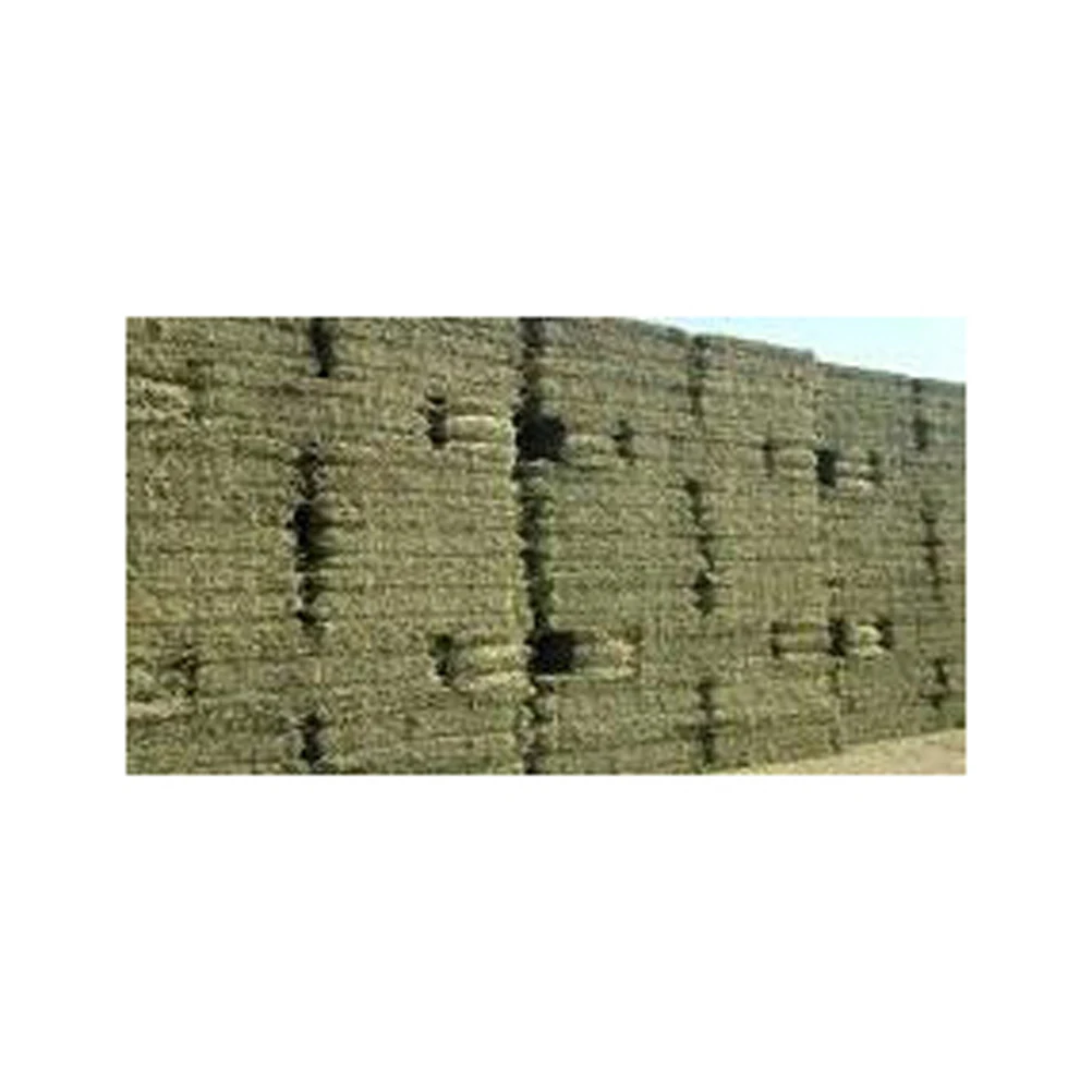 Rhode Grass Hay / Alfalfa Hay/Timothy Hay For Animal Feed