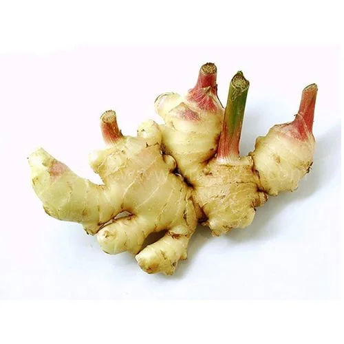yellow fresh kept ginger/air dry ginger available on wholesale prices.
