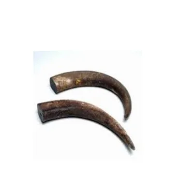 Жевательный рог для собак буйвола Лидер продаж натуральный корм и Рог ручной работы водяной жевать