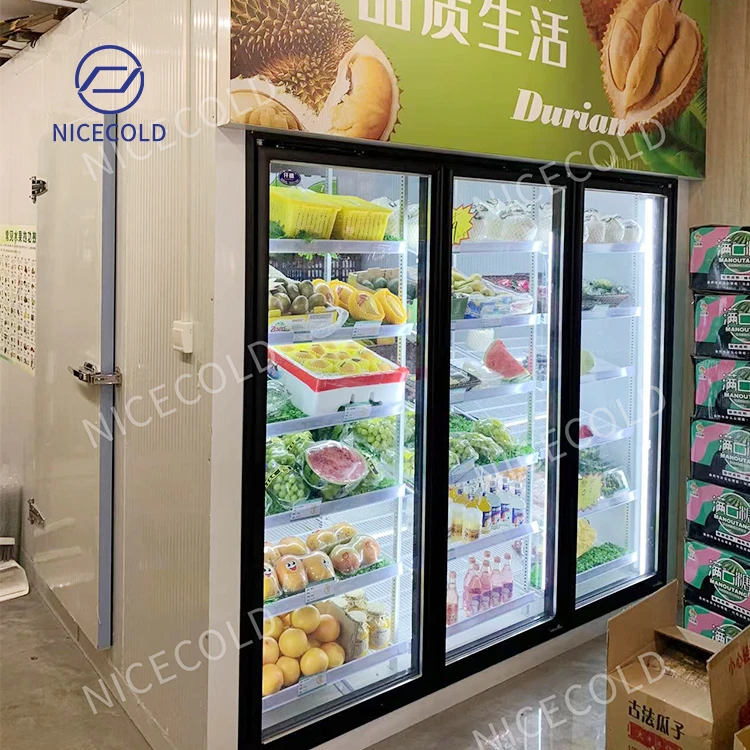 NICECOLD Custom Beverage Store Glass Door Cold Room Freezer Display Walk in Cooler