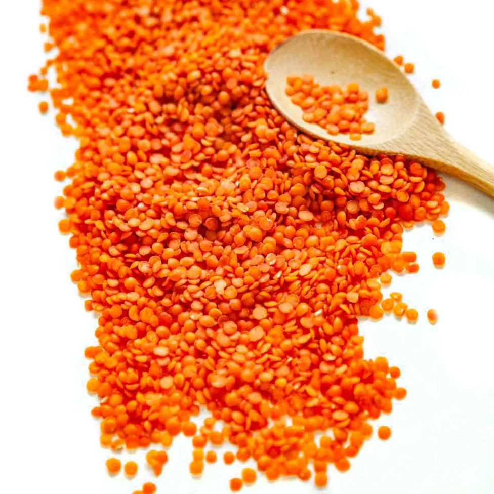 Best quality Red Lentils ecological product of Russia from manufacturer beans and seeds for sale