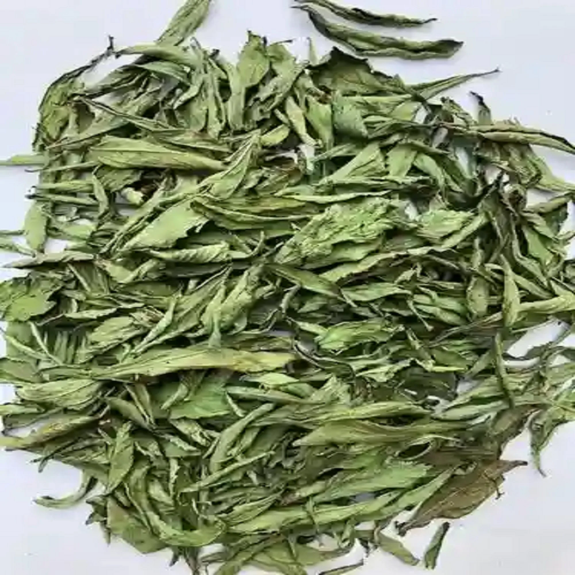 Factory Supply Bulk Health Organic Pure Loose Sweet Stevia Dry Leaf Natural Herbal Dried Stevia Leaves for Tea Extract