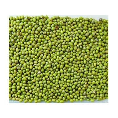 Best Factory Price of Natural Green Mung Beans / Whole Moong Beans Available In Large Quantity