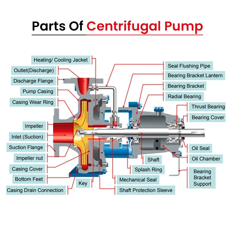 Brand New Wholesale Price Heavy Duty Self Priming  End Suction SS316 Horizontal Industrial Centrifugal Pump