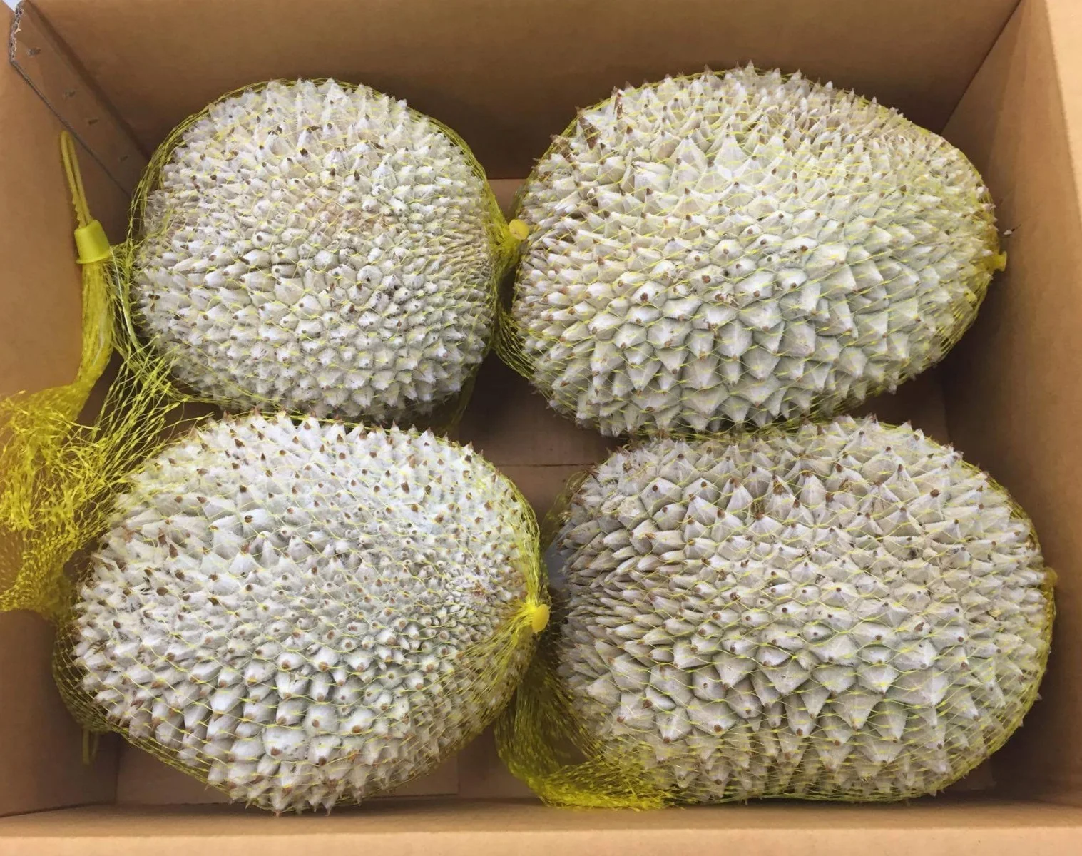 High Quality Delicious Authentic Taste 60g Musang King Durian Freeze Dried Ready to Eat Sweet Top-Notch Flavor Snack for All Age