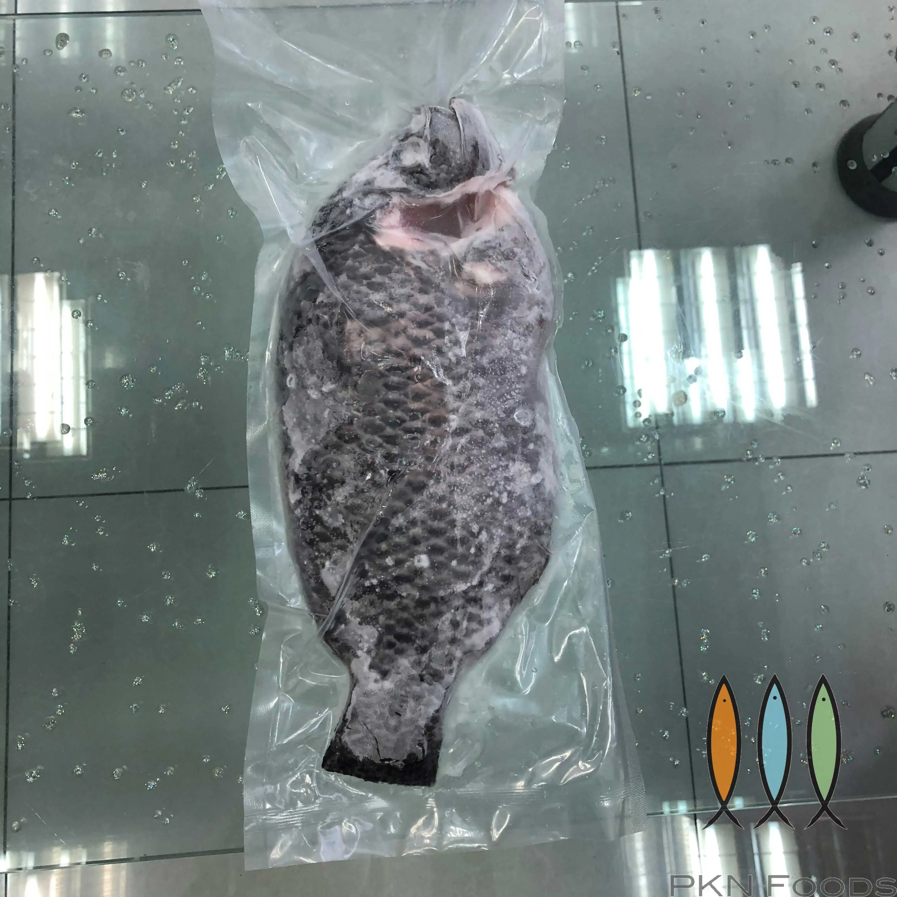 IQF Customize Life Packaging Frozen Type Cutting Supplier Shelf export tilapia fillet Black Tilapia From Viet Nam