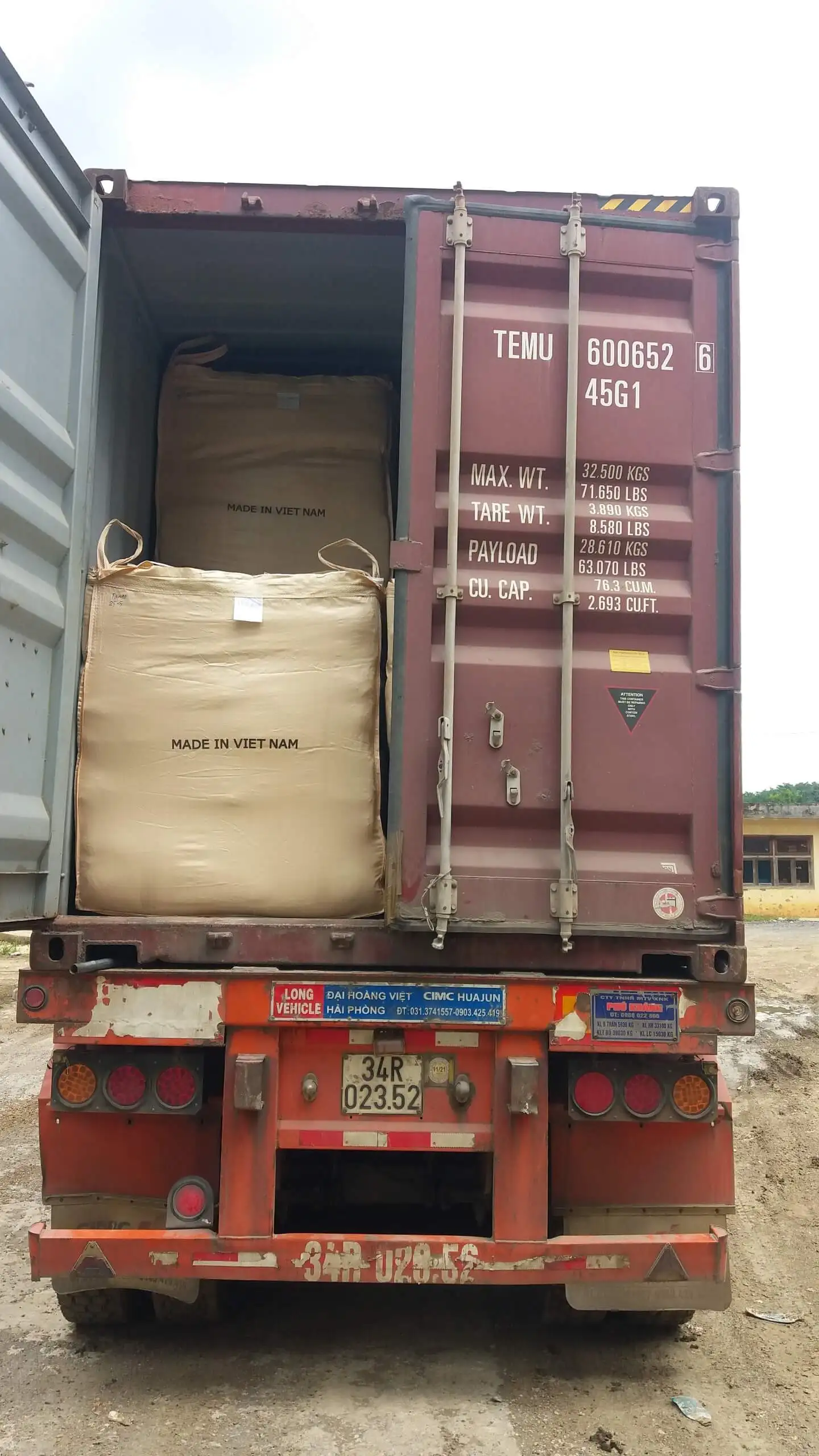 CORN SILAGE/ MAIZE SILAGE hight quality for animal feed in VIETNAM Good Price