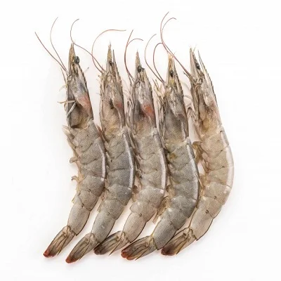 Top Quality Brown Shrimp Variety Netherlands Frozen Shrimp / Wholesale Frozen Vannamei Prawn Shrimp price