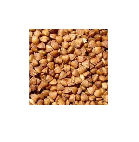 Best Quality Roasted Buckwheat For Sale In Cheap Price Wholesale Roasted Buckwheat
