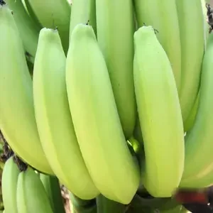 Fresh Cavendish Banana from EUROPE