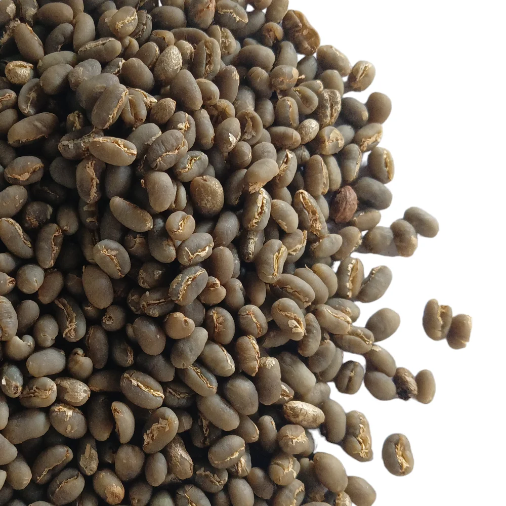 Premium Sumatra Mandheling Peaberry Green Coffee Beans Specialty Grade Arabica Coffee Directly Sourced from Indonesia