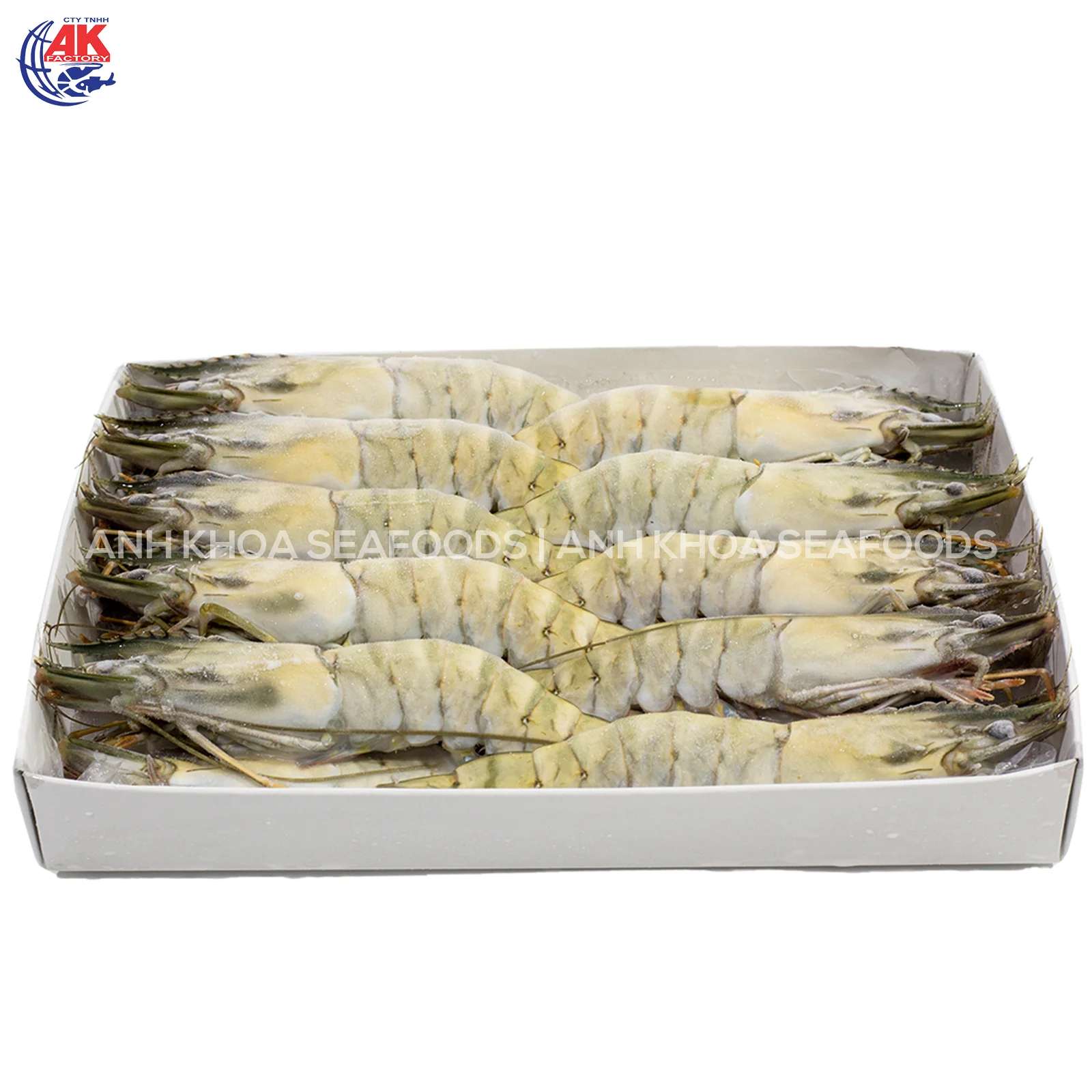 Best Price Wholesale Seafood BT/HOSO Fresh Black Tiger Shrimp Head On Shell On With Custom Weight Order Origin From Vietnam