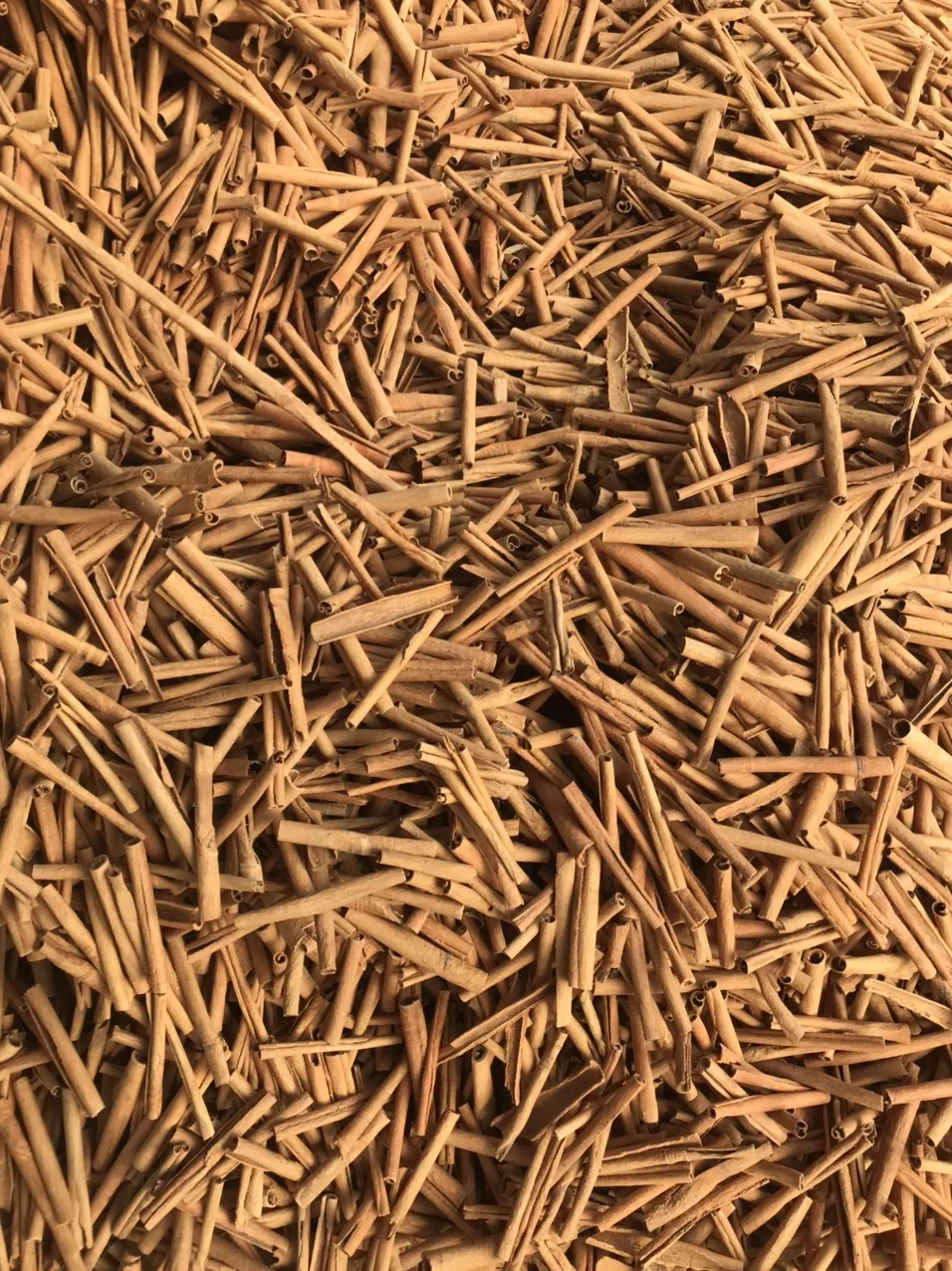 cinnamon cigarette sticks Hot product spices & herbs100% Natural Dried Cinnamon from Vietnam 2022 (+84 393 411 961)
