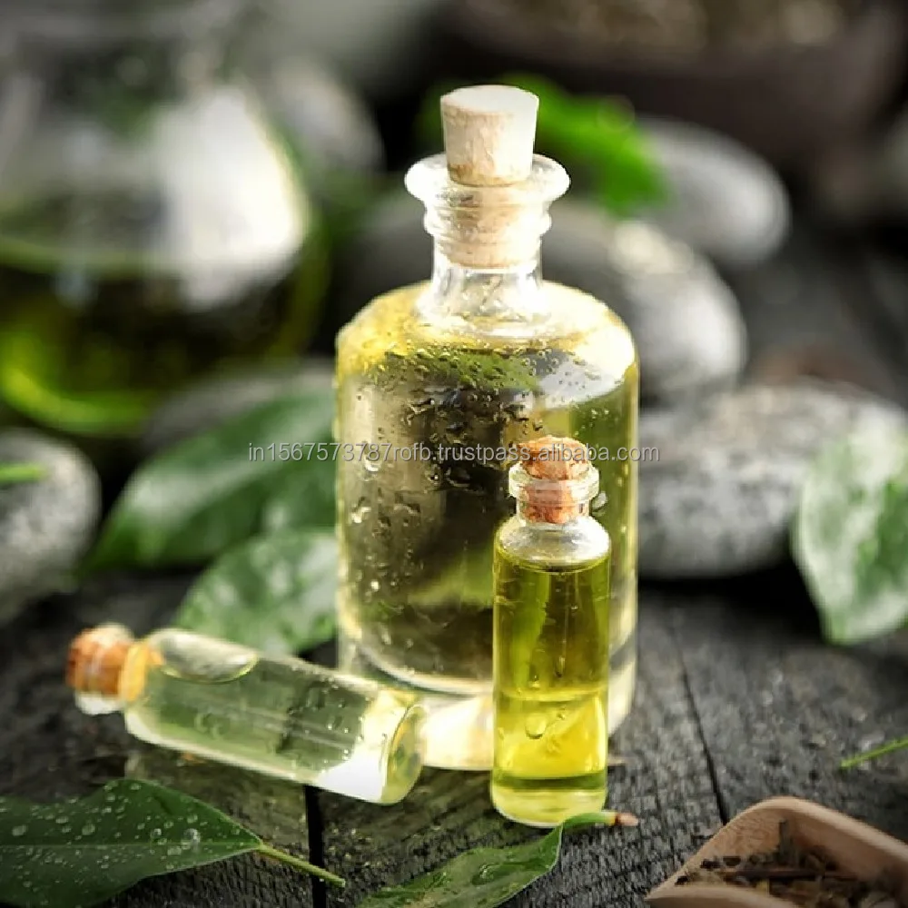 Wholesale Bulk Green Tea Essential Oil for Anti-Aging Hair Care Flavored Beverages Immune System Boost Used in Beverages