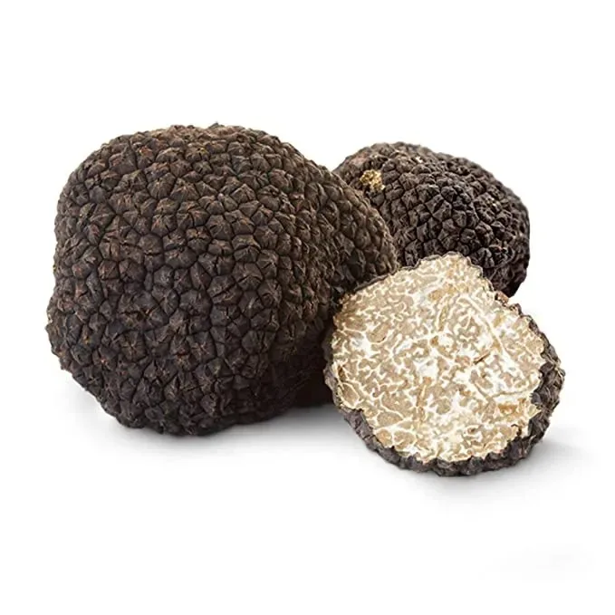 Discount Fresh black truffle hooked black truffle mushrooms