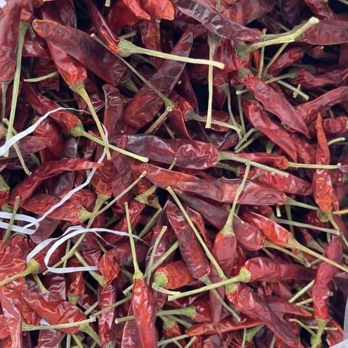 Wholesale Good Quality Cheap Price DRIED RED CHILLI From Viet Nam