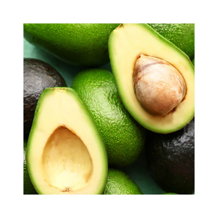 Fresh Avocado For Export With The Best Price Standard High Tropical Fruit New  Wholesale Healthy Premium Avocado
