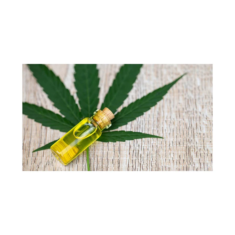 Factory supply 100% natural Olea europaea L Plant Oil Organic Hemp Seed Oil For Health food