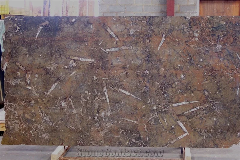 Premium Pakistani Fossil Brown Marble Slabs in Custom Sizes, Pakistani Fossil Brown Marble Slabs, 100% Natural Fossil Marble