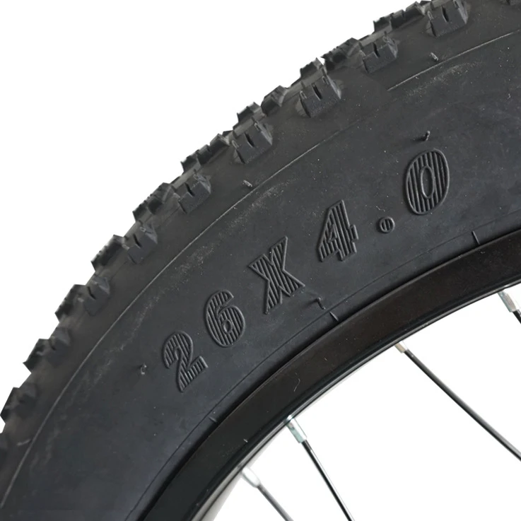 High Speed 48v 1000w Electric Bicycle 26*4.0 Inch Rear Wheel Electric Bike Fat Bike Conversion Kit