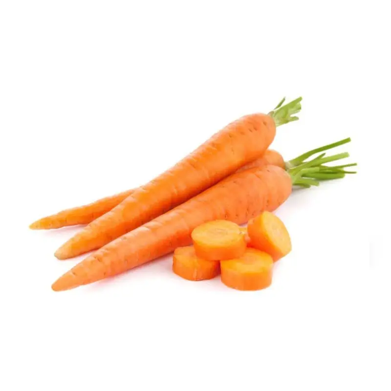 Greenhouse carrot kuroda export by MN GLOBAL IMPEX