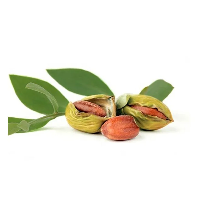 Small & Bulk Quantity Pure Karanja Oil for 3 in one use made in India