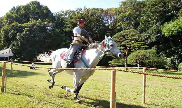 Ground stake Anchor, Galvanized Carbon Steel stake pole