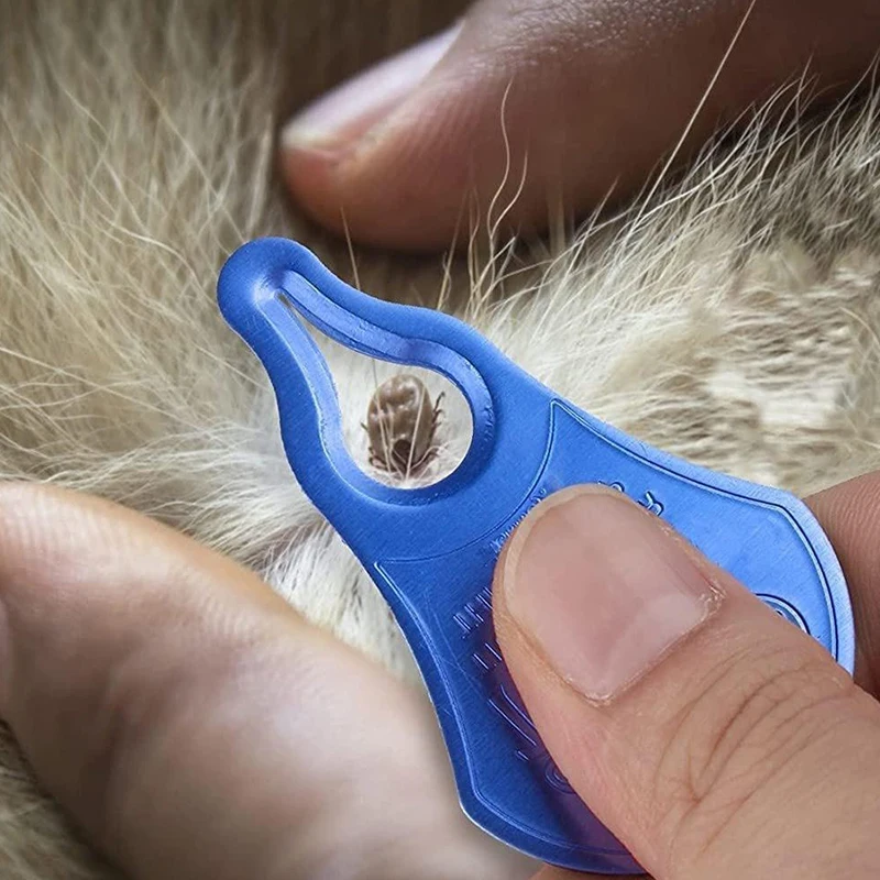 Wholesale Pet Tick Removing Tools Pain Free Portable Bugs Small Ticks Remvoer Suitable for Cat Dog Small Animals Indoor