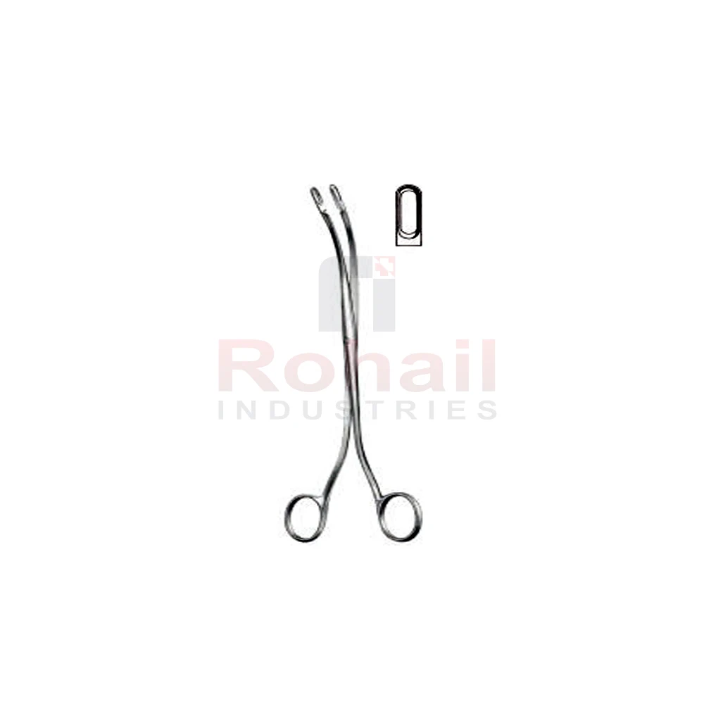 Pakistan Made Desjardin Forceps RI-0638
