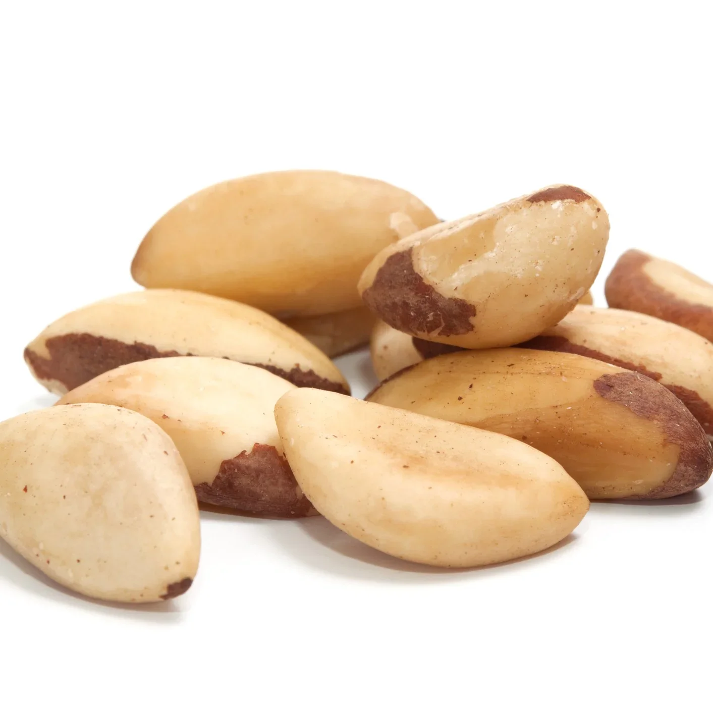 Top Grade Raw Brazil Nuts Wholesale Brazil Nuts Bulk Quantity Shelled Brazil Nuts In Cheap price