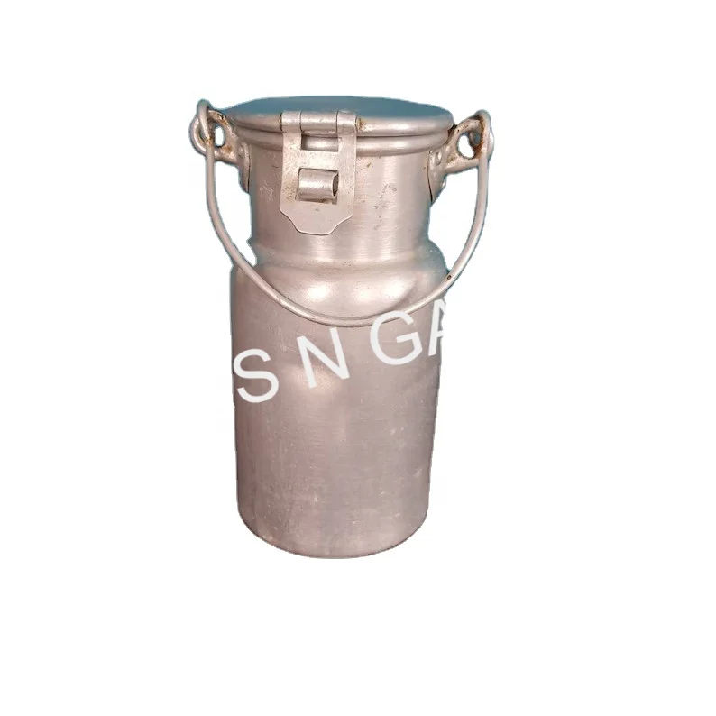 High Quality antique cast iron french Aluminium Fabulous Large Water Jug Shape Vintage Flower Vases for Garden Decor India 2022