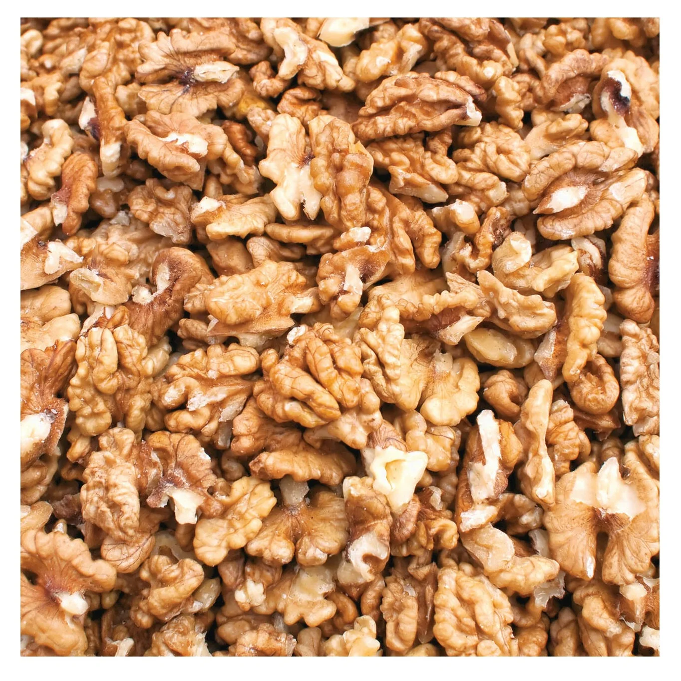 Peeled Kernel Walnuts High Quality Walnut Kernel Brazil Supplier Low Price Light Halves Walnut Kernels