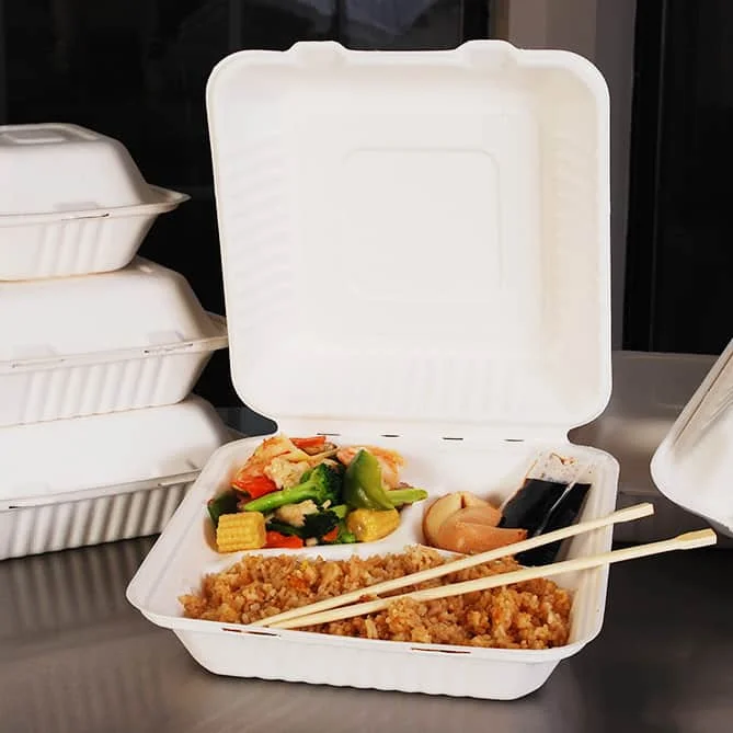 Biodegradable Takeaway Food Box Disposable Bagasse Lunch Box Sugarcane Pulp Packaging for Food