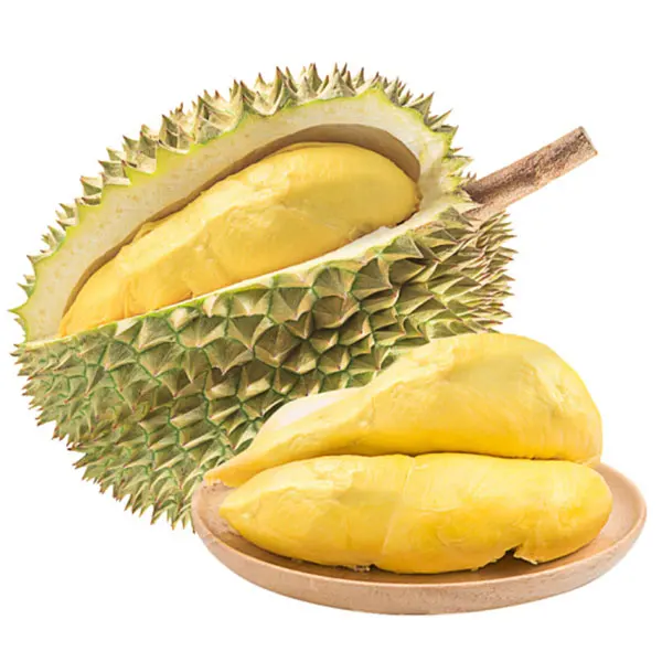 For Sale Frozen Durian From Viet Nam 100% Natural Fresh High Quality Best Price For Wholesale