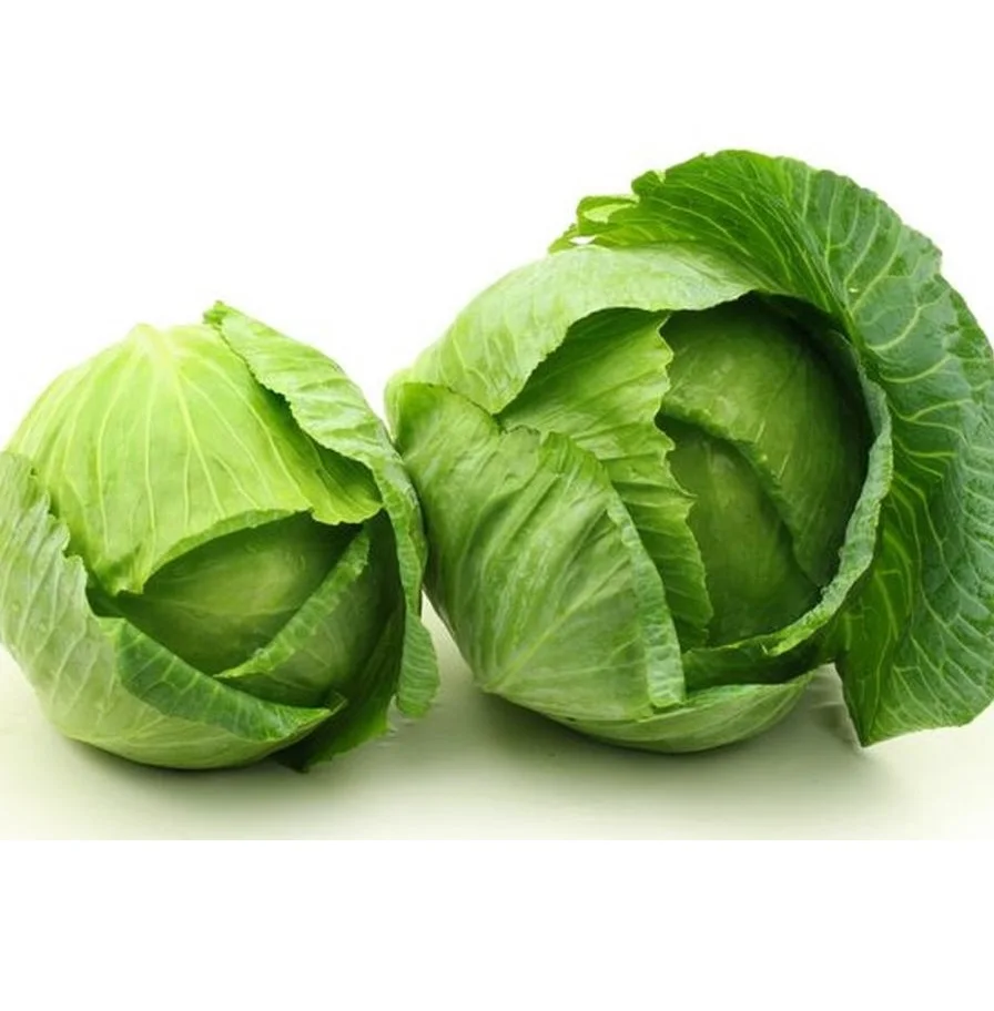 Fresh Vegetables Common Cultivation Export Quality Orange Natural Sweet Fresh Cabbage From Vietnam For Export