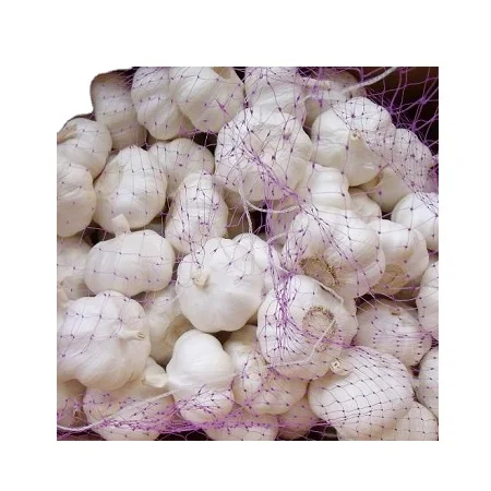 cheap price fresh garlic