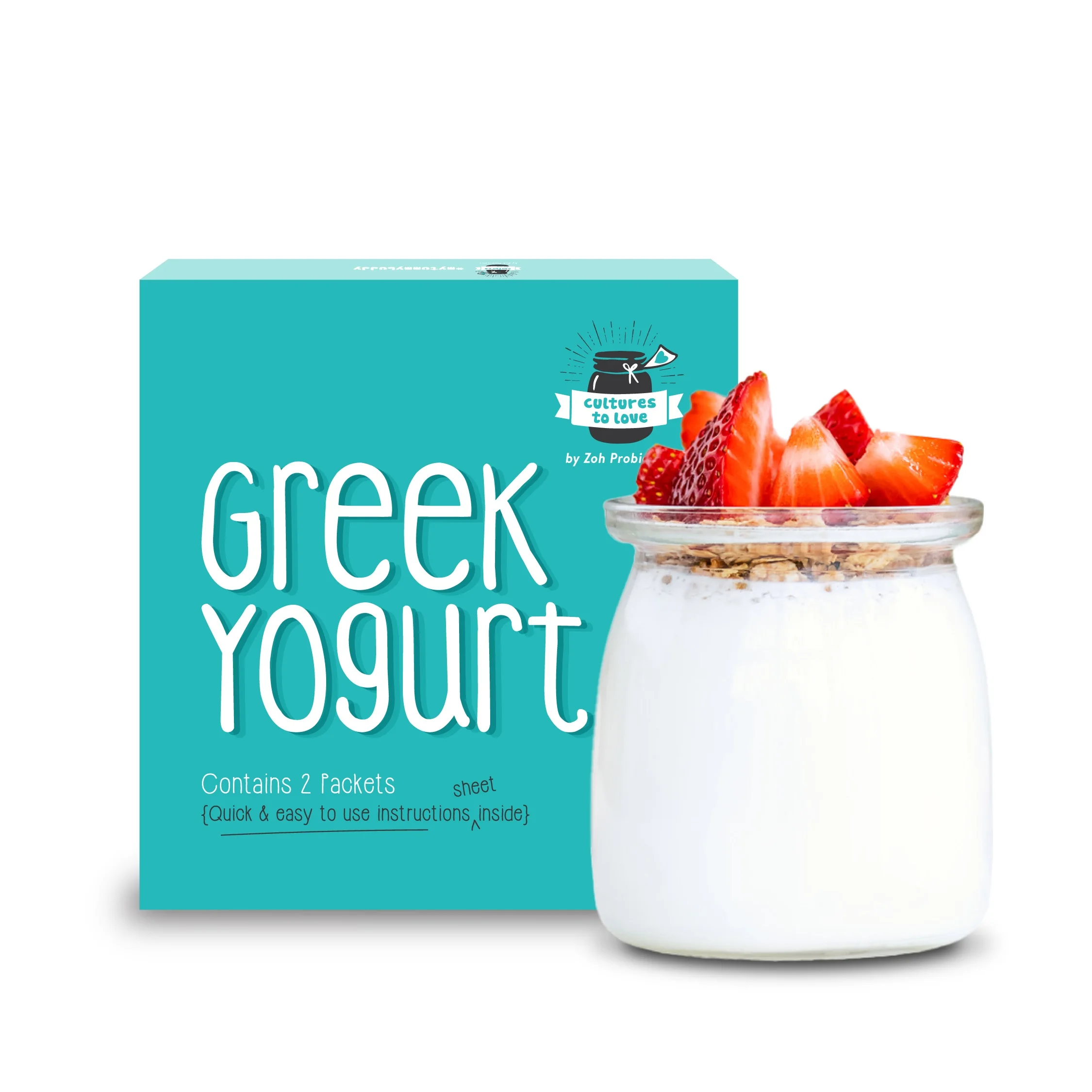 Healthy Probiotic Yogurt Powder Greek for Health Freak Persons Available for Bulk Export from Indian Exporter