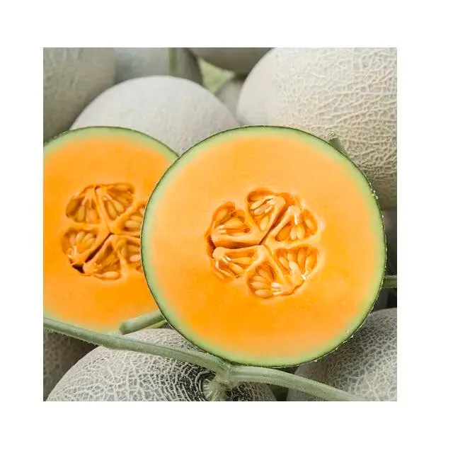Экспортное качество, питательные вещества общего типа, Натуральные Сладкие свежие дыни, спелые мускусные дыни