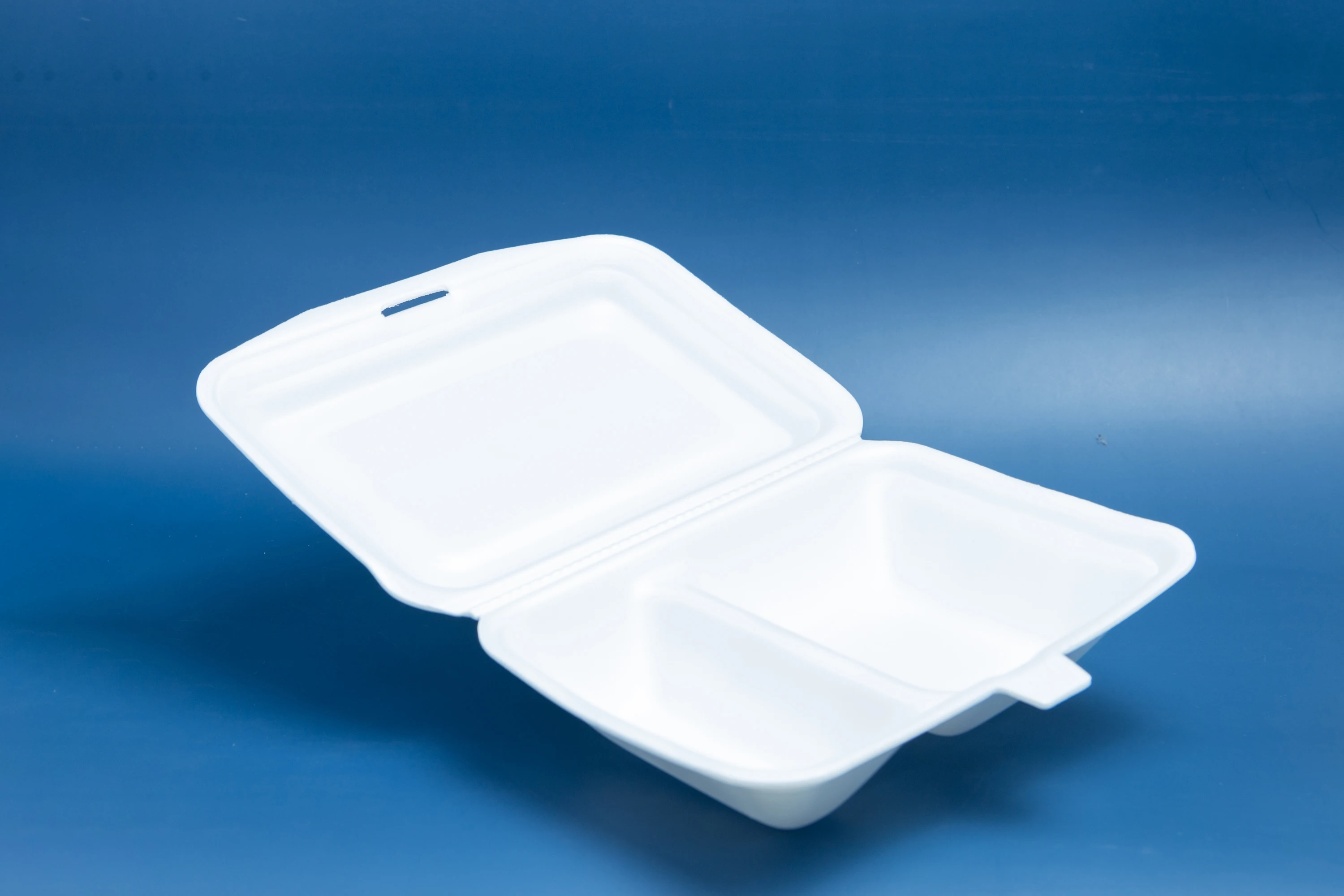 Low Price Ready to Ship Disposable PS Foam Food Container Take Away Lunch Box White Color Exported Form Vietnam