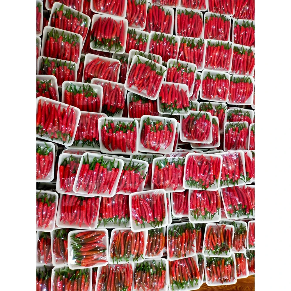 Made In Vietnam - Chili Pepper Wholesale Products Exporter Extract Fresh Vegetables From Farm Capsicum