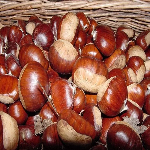 Buy Organic Fresh Chestnuts At Cheap Price