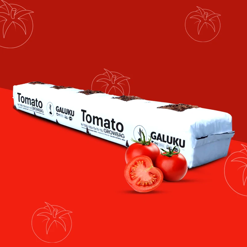 Optimal Planting Solutions: Coco Peat Grow Bags for Tomatoes and More