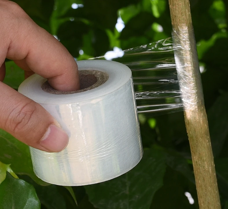 PE grafting film tree plant grafting wrapping film transparent stretch grafting tape film