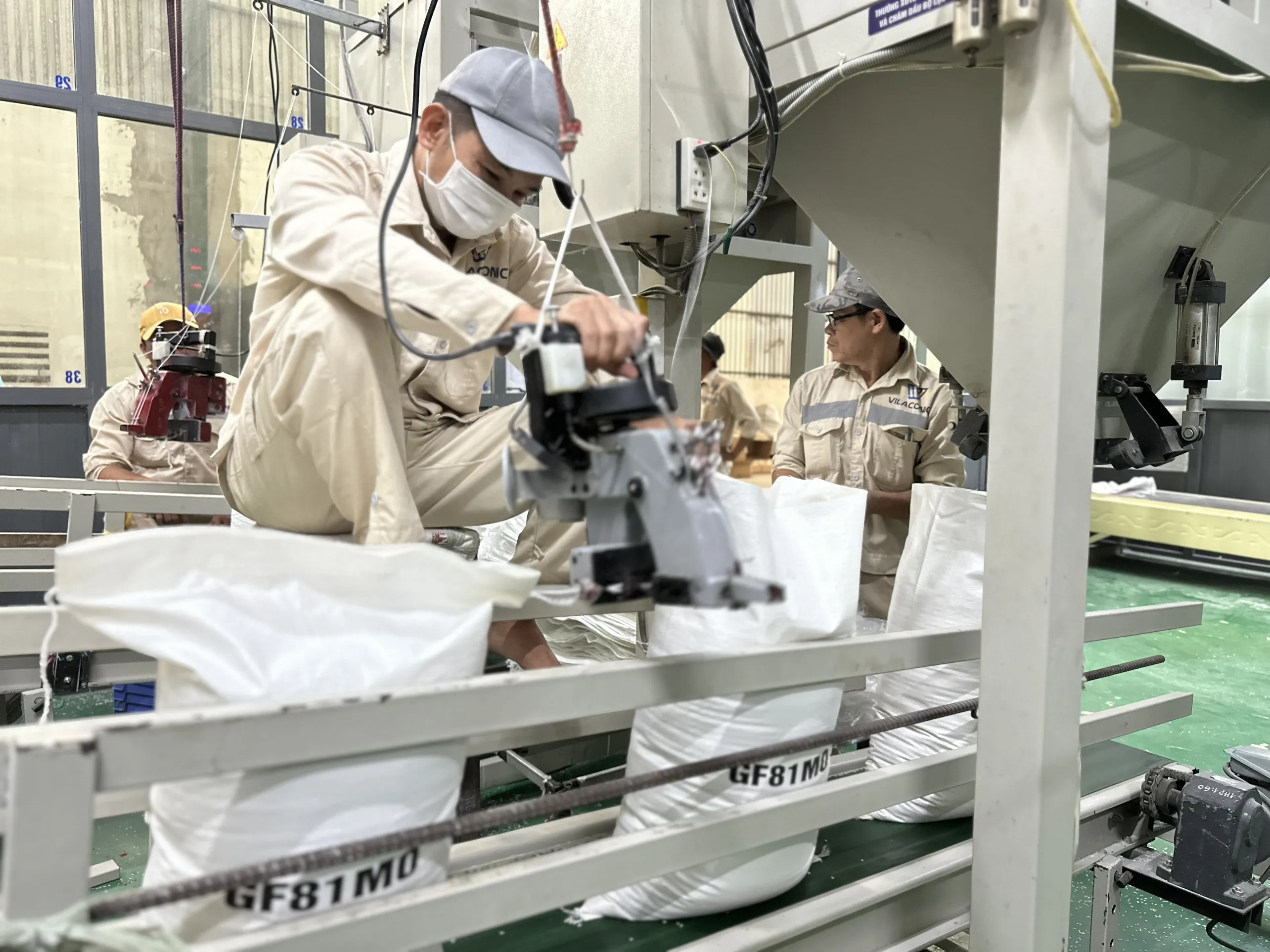 Premium Jasmine Fragrant rice Scented rice 5% 15% 100% broken white rice Riz perfume au jasmin/KDM rice -ANNA DO W/A+84982153058