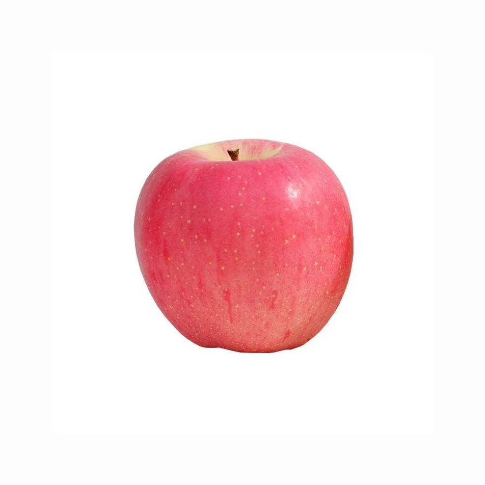 Discounts Selling Fresh Green Granny Smith Apples /Fresh Red Fuji Apples /Royal Gala/Red Delicious